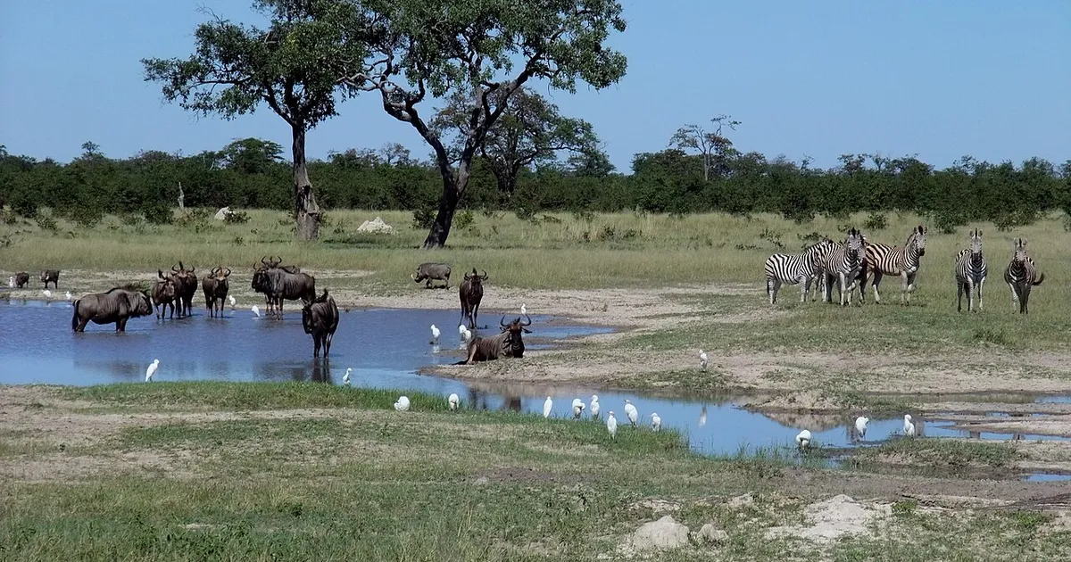 Chobe National Park