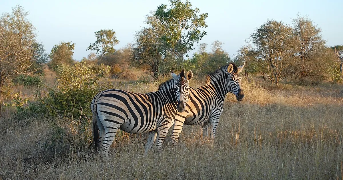 Kruger National Park