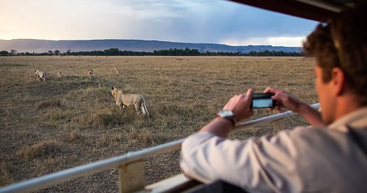 Safari in Masai Mara National Reserve