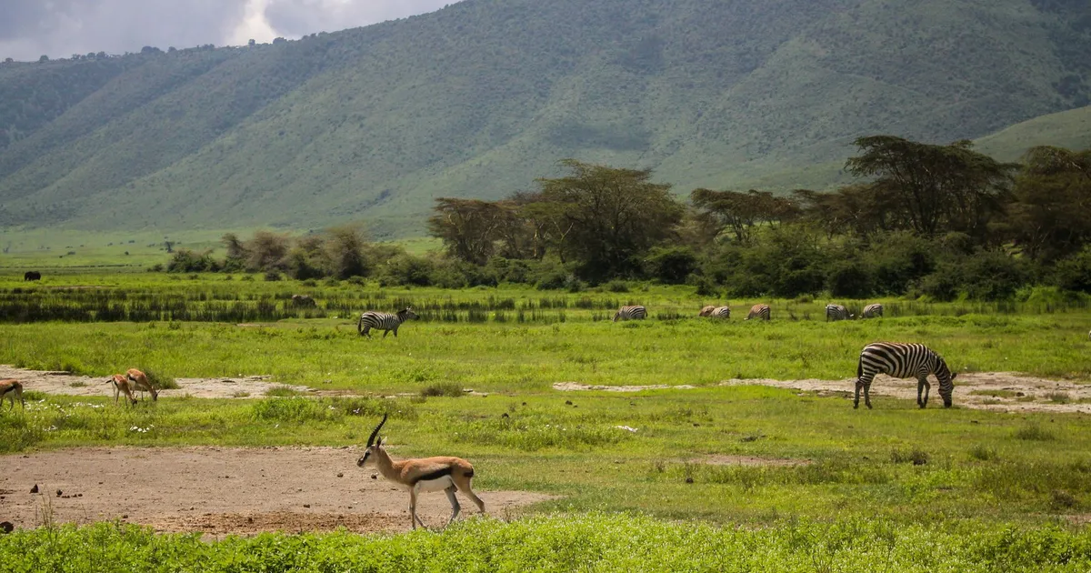 Safari in MAWE MAWILI BOMA AREA