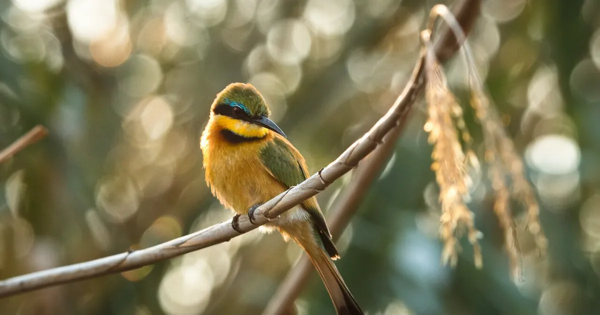 Safari in Mayuni Conservancy