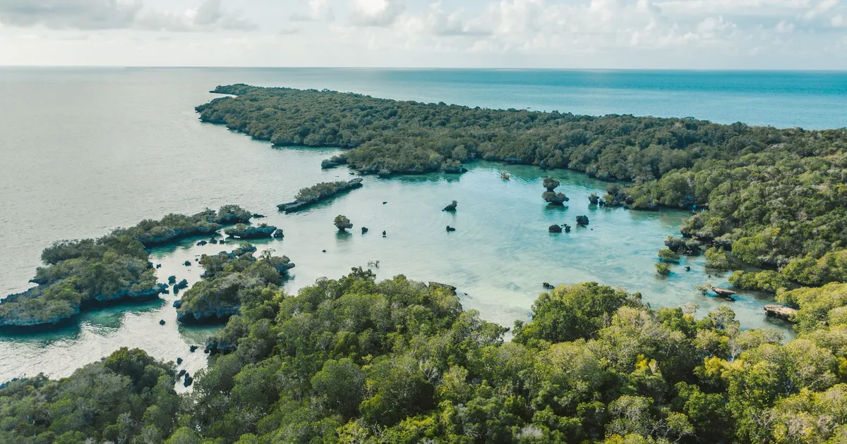 Safari in Mbudya and Bongoyo Marine Reserve