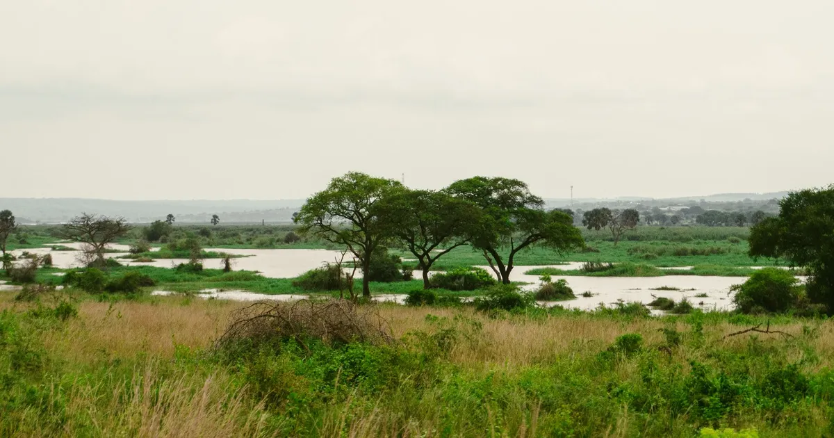 Safari in Murchison Aswa Falls Conservancy